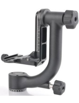 BENRO TÊTE PENDULAIRE GH2