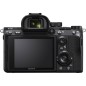 SONY ALPHA 7 III  + 24-105/4 OSS G