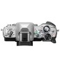 OLYMPUS E-M10 MARK IV SILVER