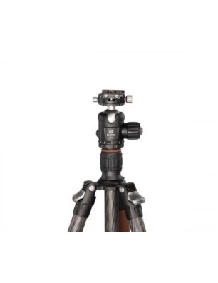 LEOFOTO ARMOUR TREPIED CARBONE LN-284CT+NB40