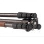 LEOFOTO ARMOUR TREPIED CARBONE LN-324CT+NB46