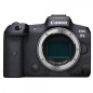 CANON EOS R5 + RF 24-105 F/4 L IS