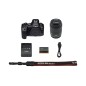 CANON EOS R6 MARK II + RF 24-105 F/4-7.1 IS CANON EOS R6 MARK II + RF 24-105 F/4-7.1 IS