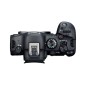 CANON EOS R6 MARK II + RF 24-105 F/4 L IS USM CANON EOS R6 MARK II + RF 24-105 F/4 L IS USM