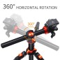 K&F CONCEPT TREPIED TS254A4 + ROTULE BALL