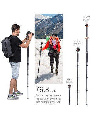 K&F CONCEPT TREPIED SA-254T2 + ROTULE BAL