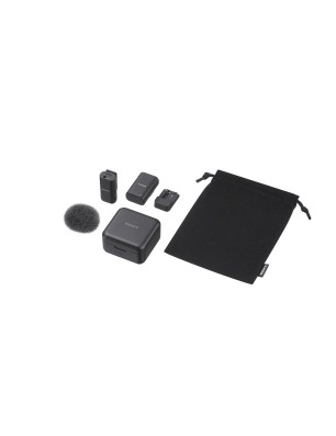 SONY MICRO DIGITAL SANS FIL 1 CANAL ECM-W3S