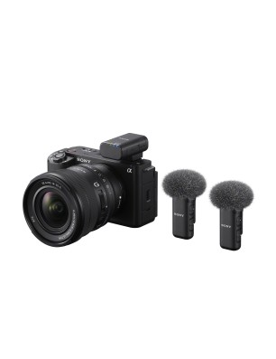 SONY MICRO DIGITAL SANS FIL 2 CANAUX ECM-W3