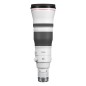 CANON RF 600 F/4 L IS USM