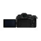 PANASONIC DC-G97 + 12-60 F/3.5-5.6
