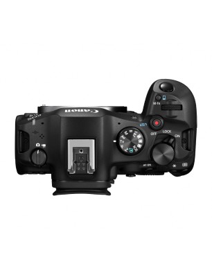 Canon EOS R6 Mark III — Hybride plein format polyvalent – Rennes