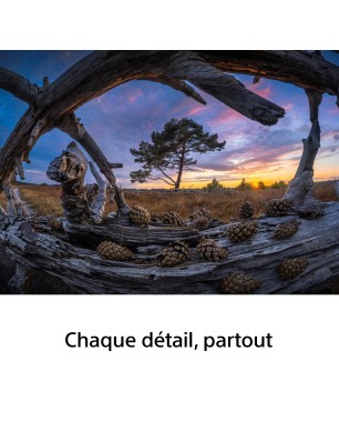 Sony FE 8-14mm Fisheye G – Zoom 180°